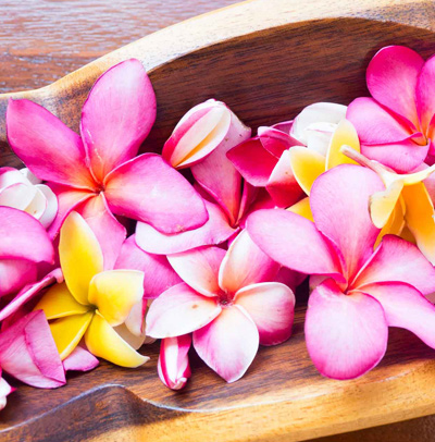 Moorea Reef Bungalows Fleur