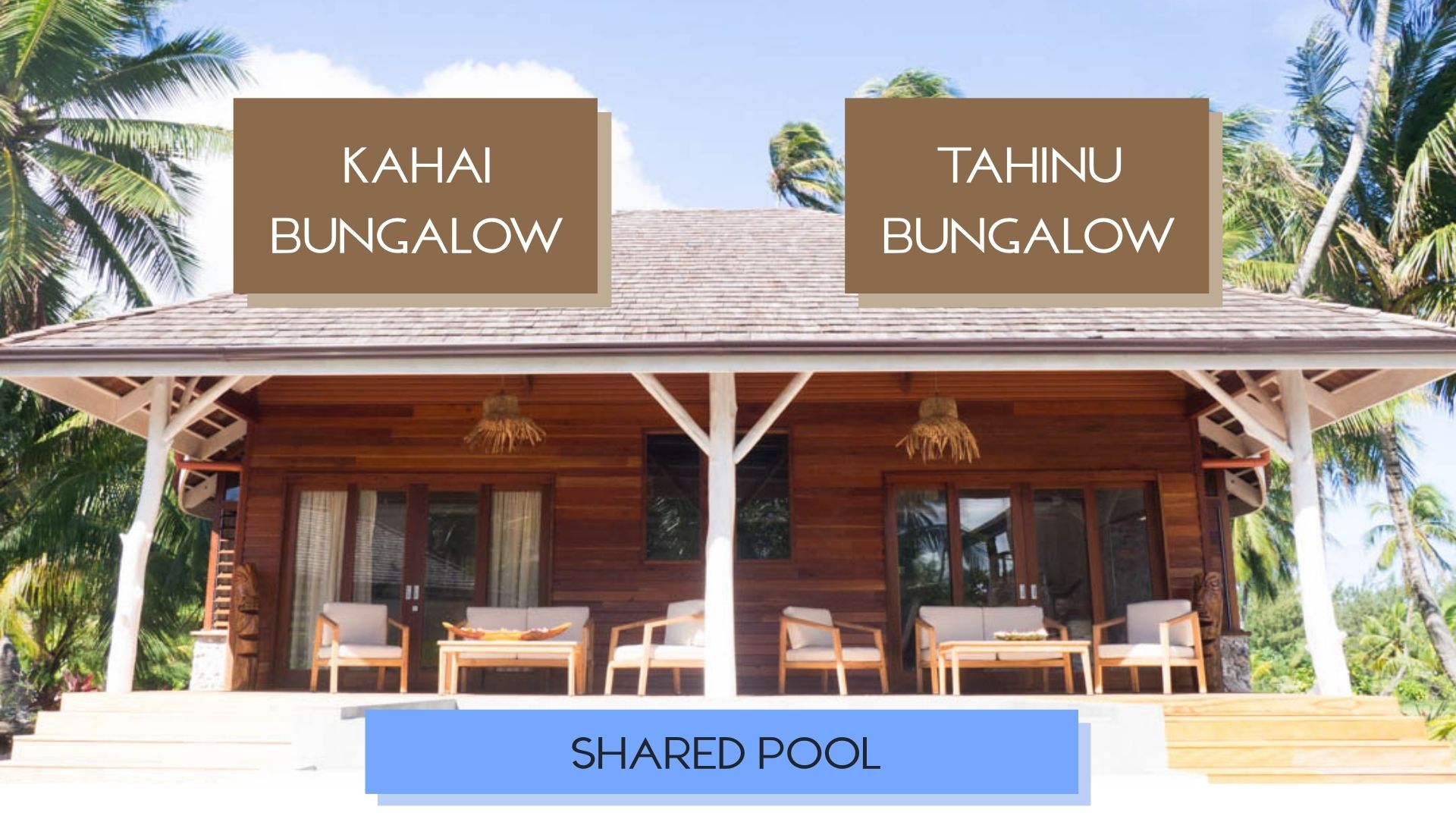 terrace and pool shared